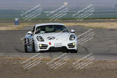 media/May-03-2024-PCA Central Coast (Fri) [[eaa7da0ee1]]/Yellow Group/Session 1 (Grapevine)/